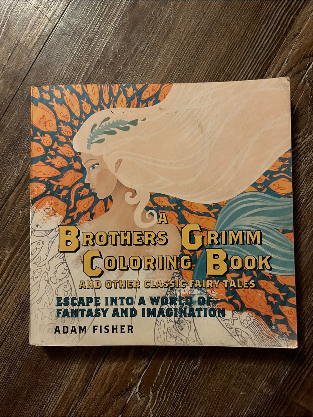 A Brothers Grimm Coloring Book - Fantasy Coloring Book (Blue, Orange)
